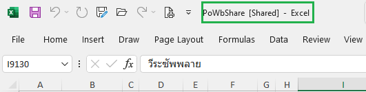 รูปนี้ใช้ Excel 2007 แชร์ไฟล์ใช้งานร่วมกัน