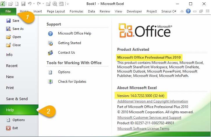 Excel2010Spec.png